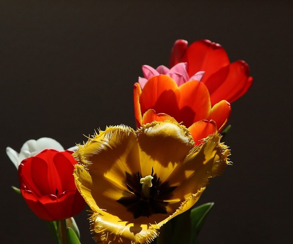 Edge Computing: Bringing Processing Power Closer To The Source