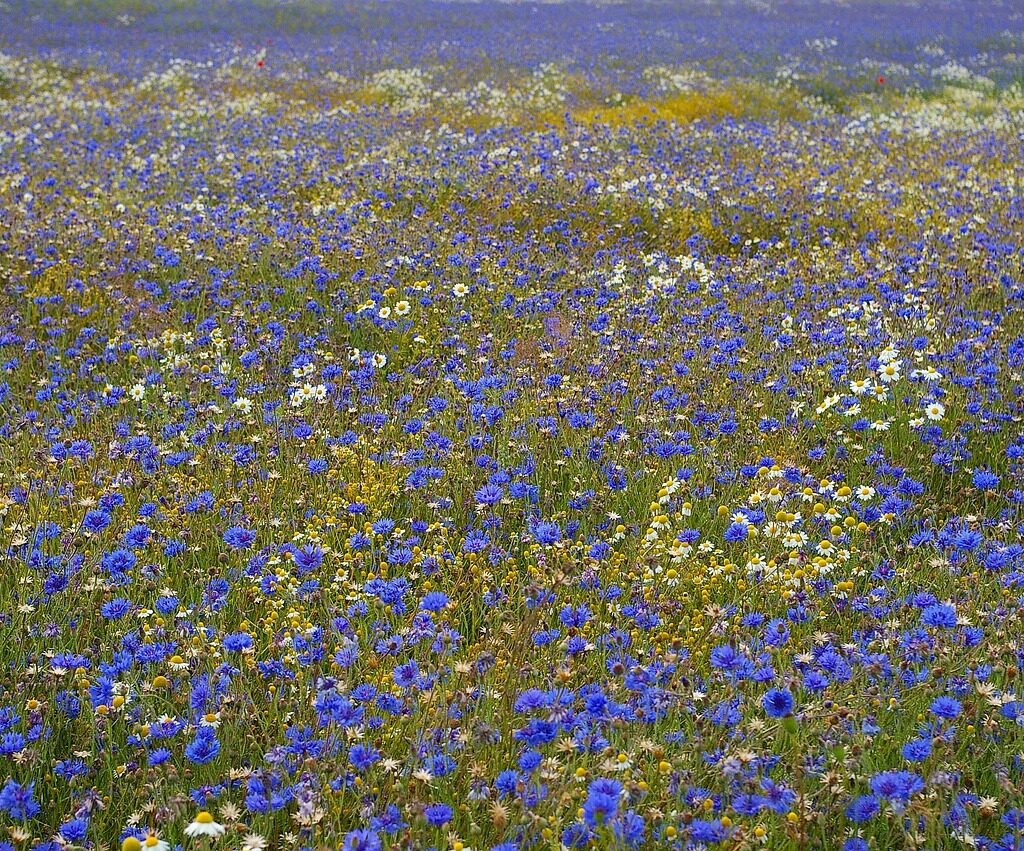 Edge Computing: Bringing Processing Power Closer To The Source